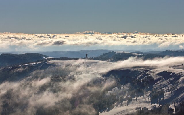 High Black Forest in winter